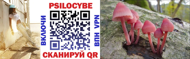 Галлюциногенные грибы MAGIC MUSHROOMS  Бердск 