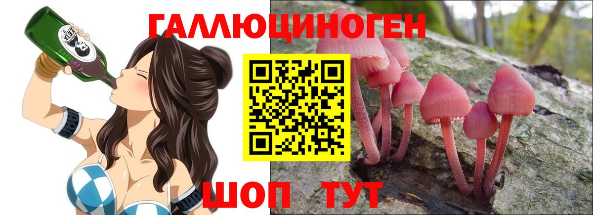 Галлюциногенные грибы Psilocybe  Бердск 