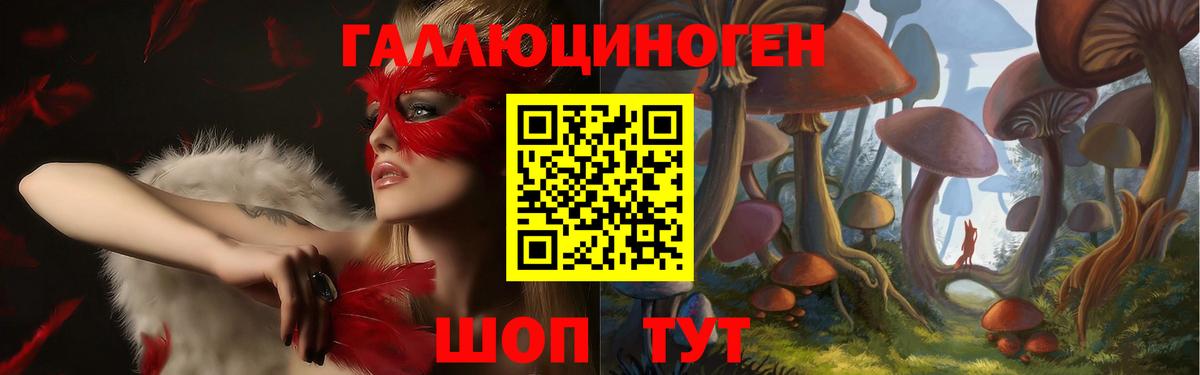 Псилоцибиновые грибы GOLDEN TEACHER  Вход с VPN  Бердск  купить наркотики цена  Псилоцибиновые грибы мицелий 